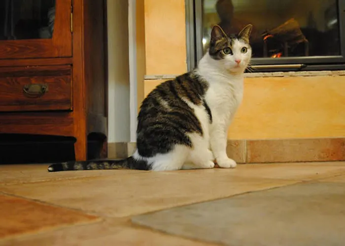 B&B la casa di Arturo Torino